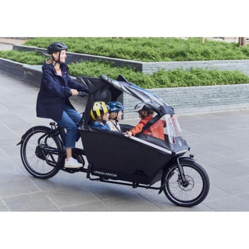 Family Performance line Disc essential 500Wh GRATIS REGENHUIF